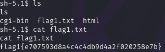 震惊！！！鲁神的夺旗方法，如果你不知道的话那你已经可以退出这个领域了！！！