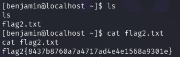 震惊！！！鲁神的夺旗方法，如果你不知道的话那你已经可以退出这个领域了！！！