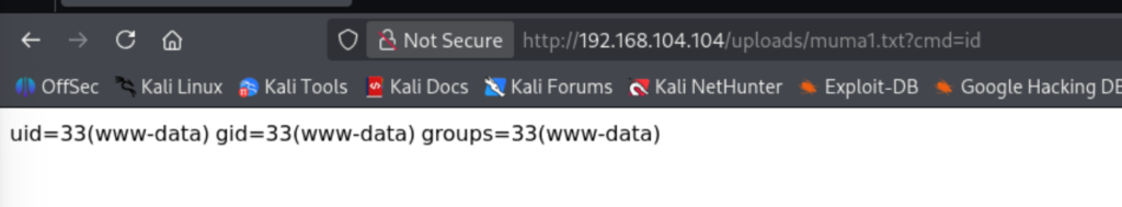 Target2-镜靶机取Flag过程